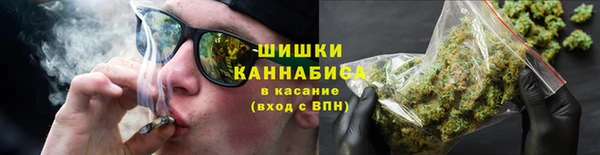 spice Каменногорск