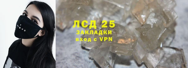 твердый Аркадак