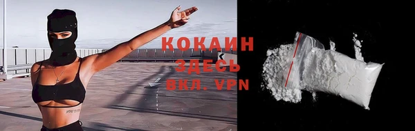 твердый Аркадак