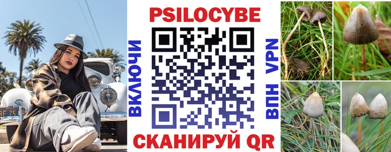 Псилоцибиновые грибы прущие грибы  мега вход  Могоча 