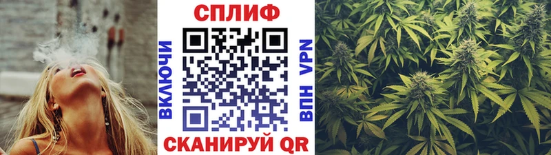 Канабис марихуана  Могоча 